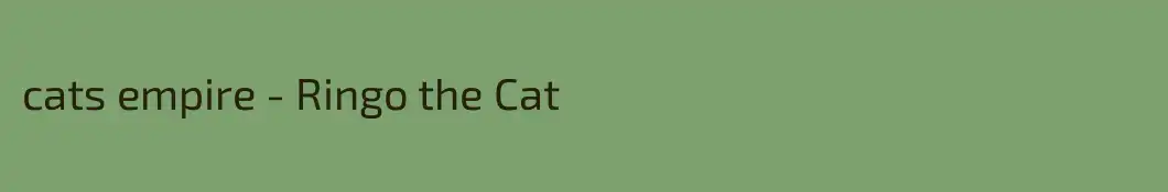 cats empire - Ringo the Cat